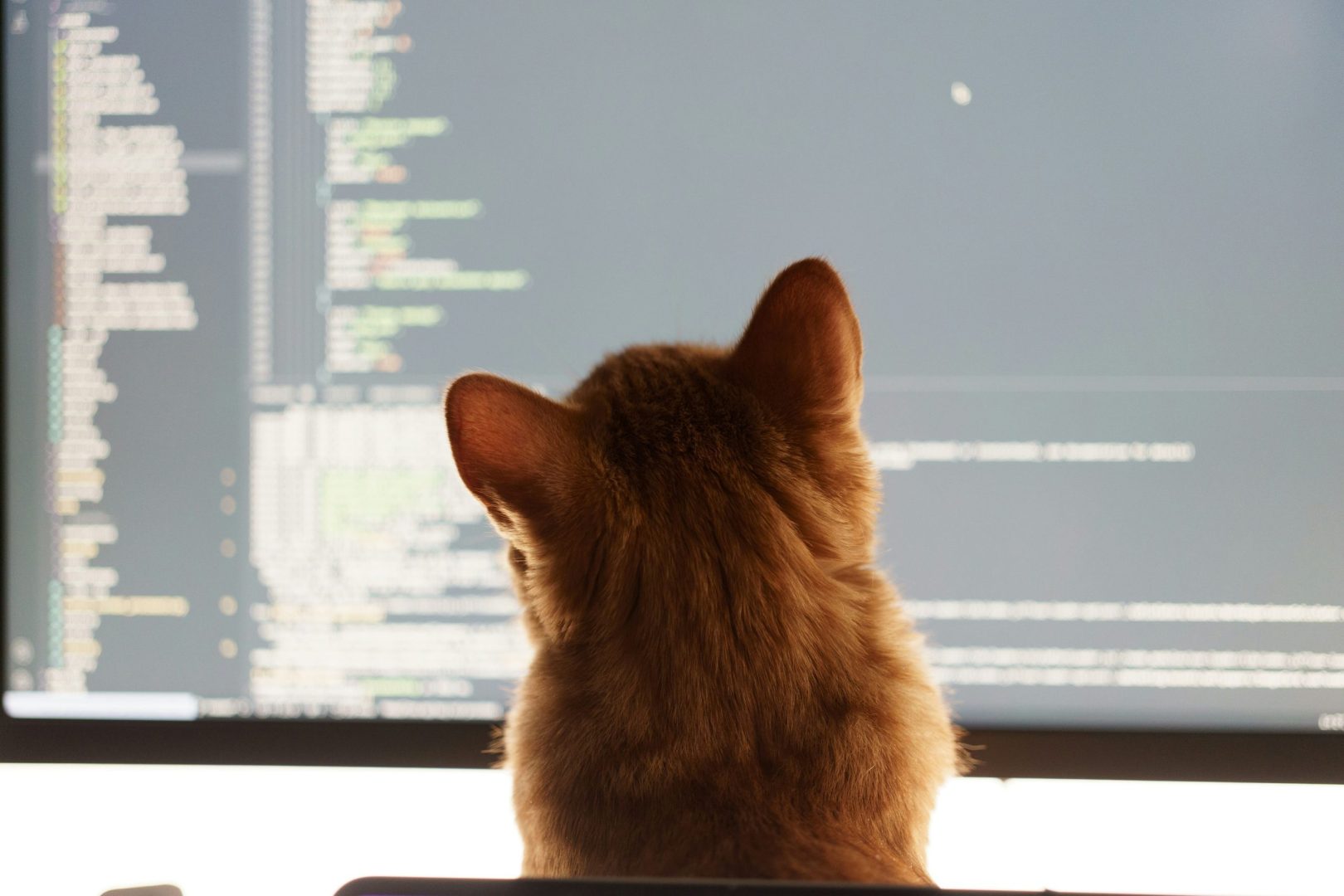 The New “Vibe Coding”: Can You Build Software with Just AI?